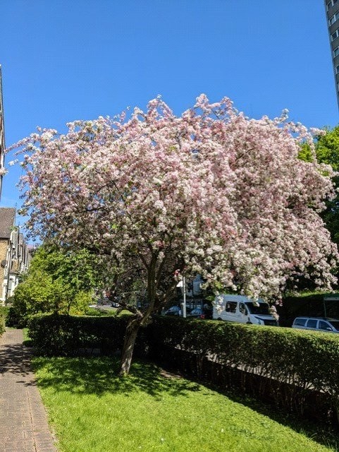 Crouch Hill, London, N4