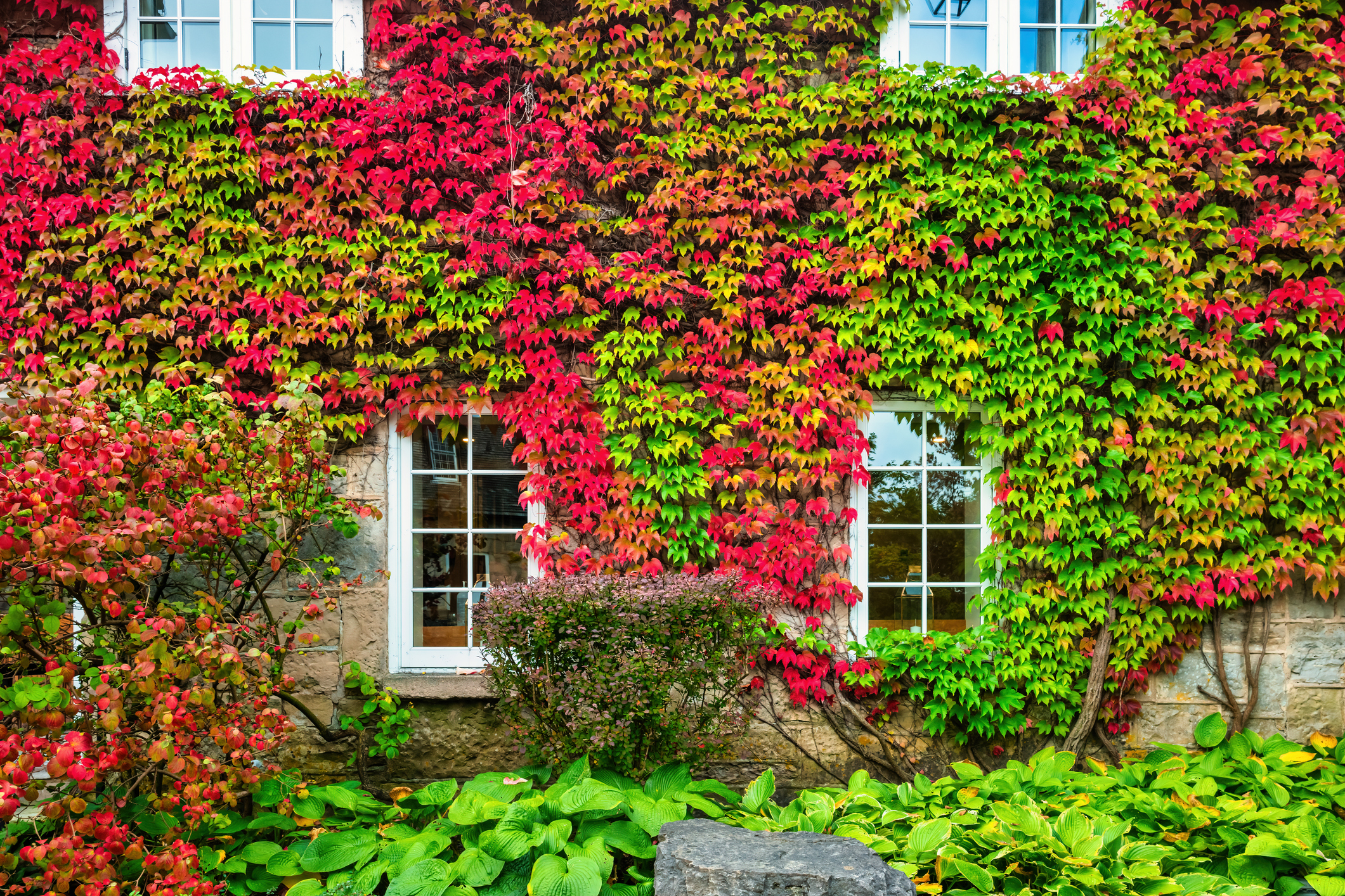 Autumn-house-2_1