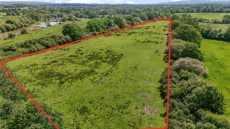 Willow Lodge Farm, Nyewood Road, Nyewood, South Harting, GU31