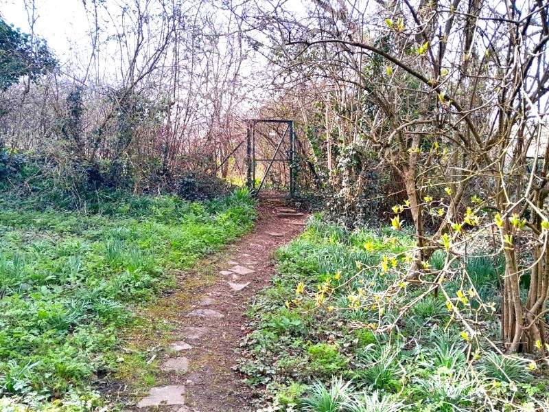 Chipstead Way, Banstead, Surrey, SM7