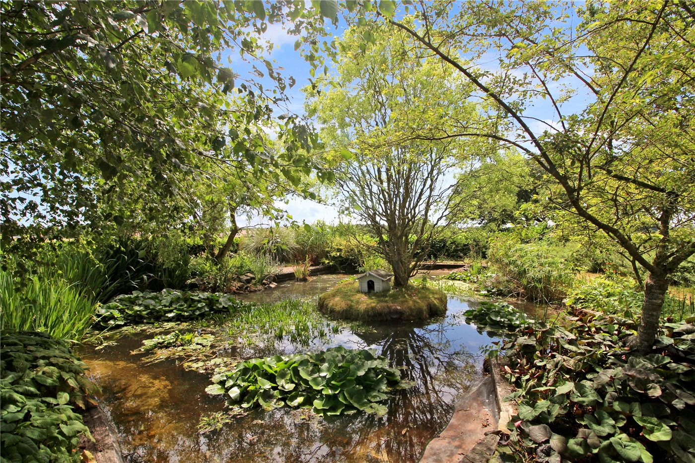 Garden