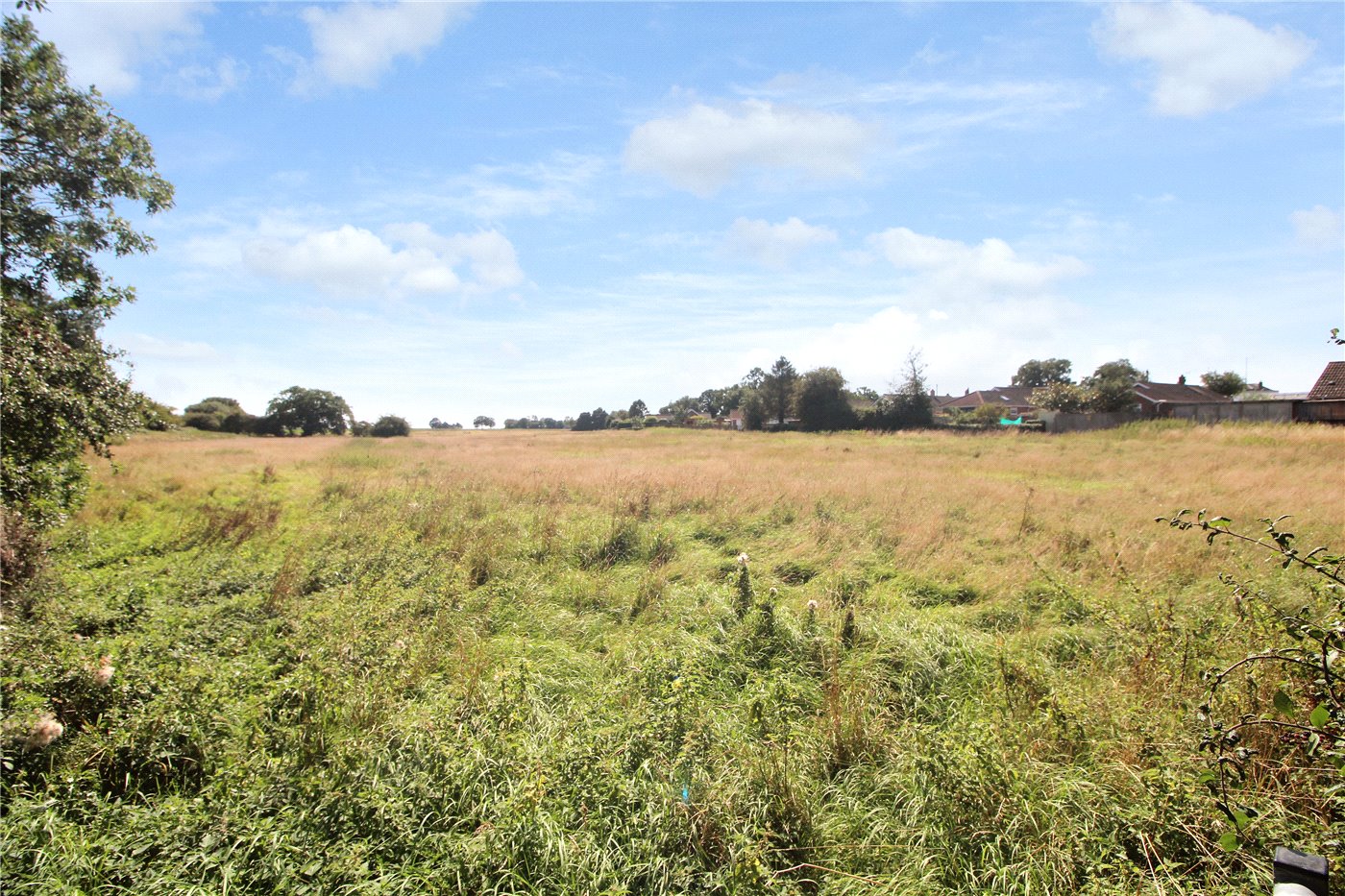 Field