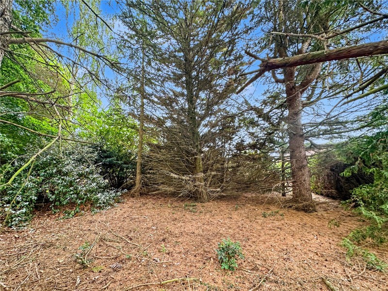 Bradshaw Road, Drayton, Norwich, Norfolk, NR8