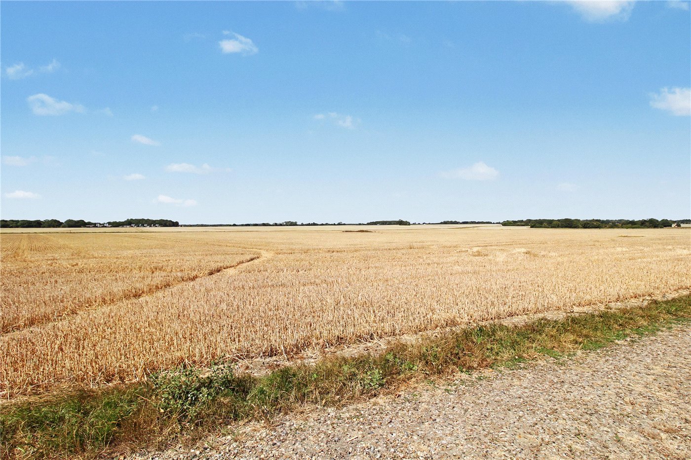 Field