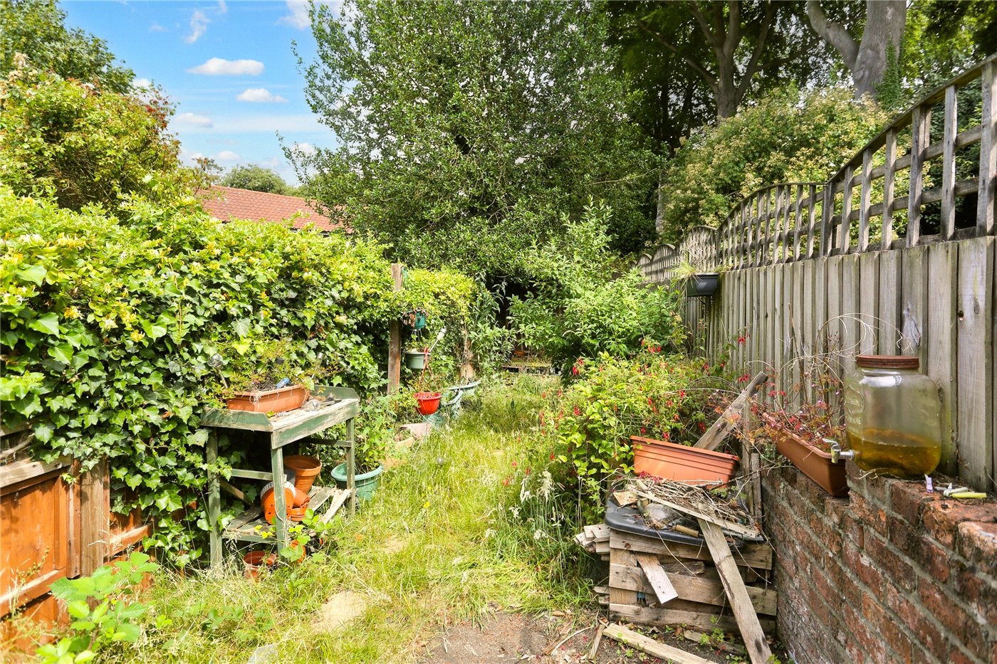 Garden