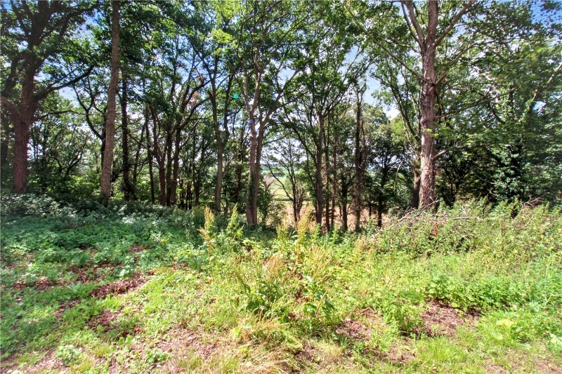 The Lodge Drive, Drayton, Norwich, Norfolk, NR8