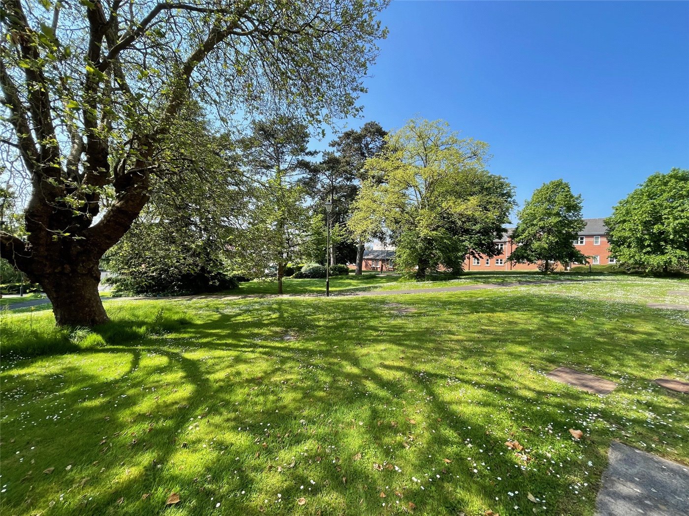 Communal Gardens