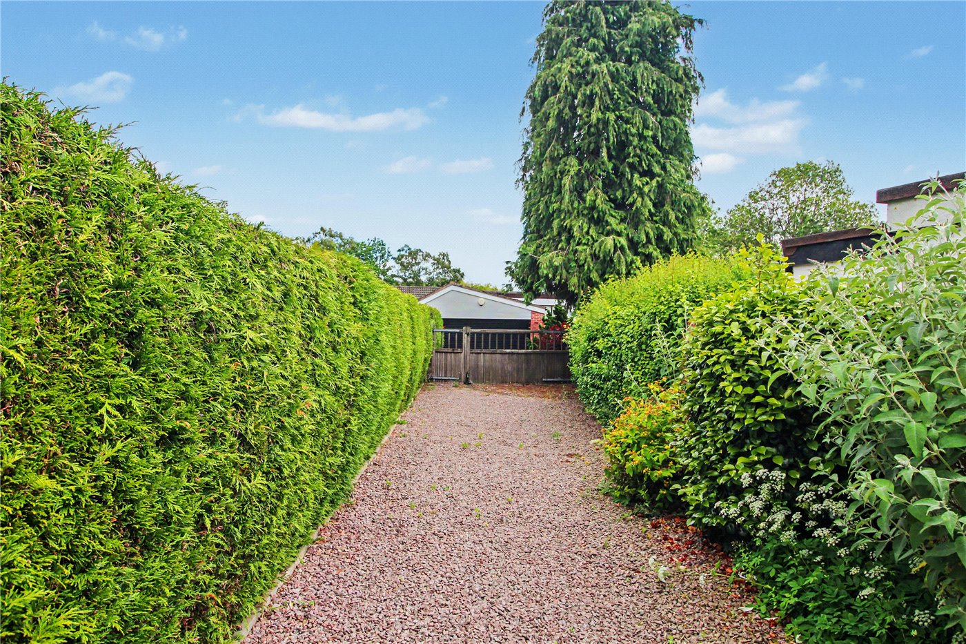 Driveway