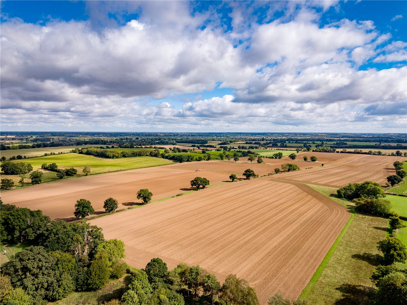 Nearby Views