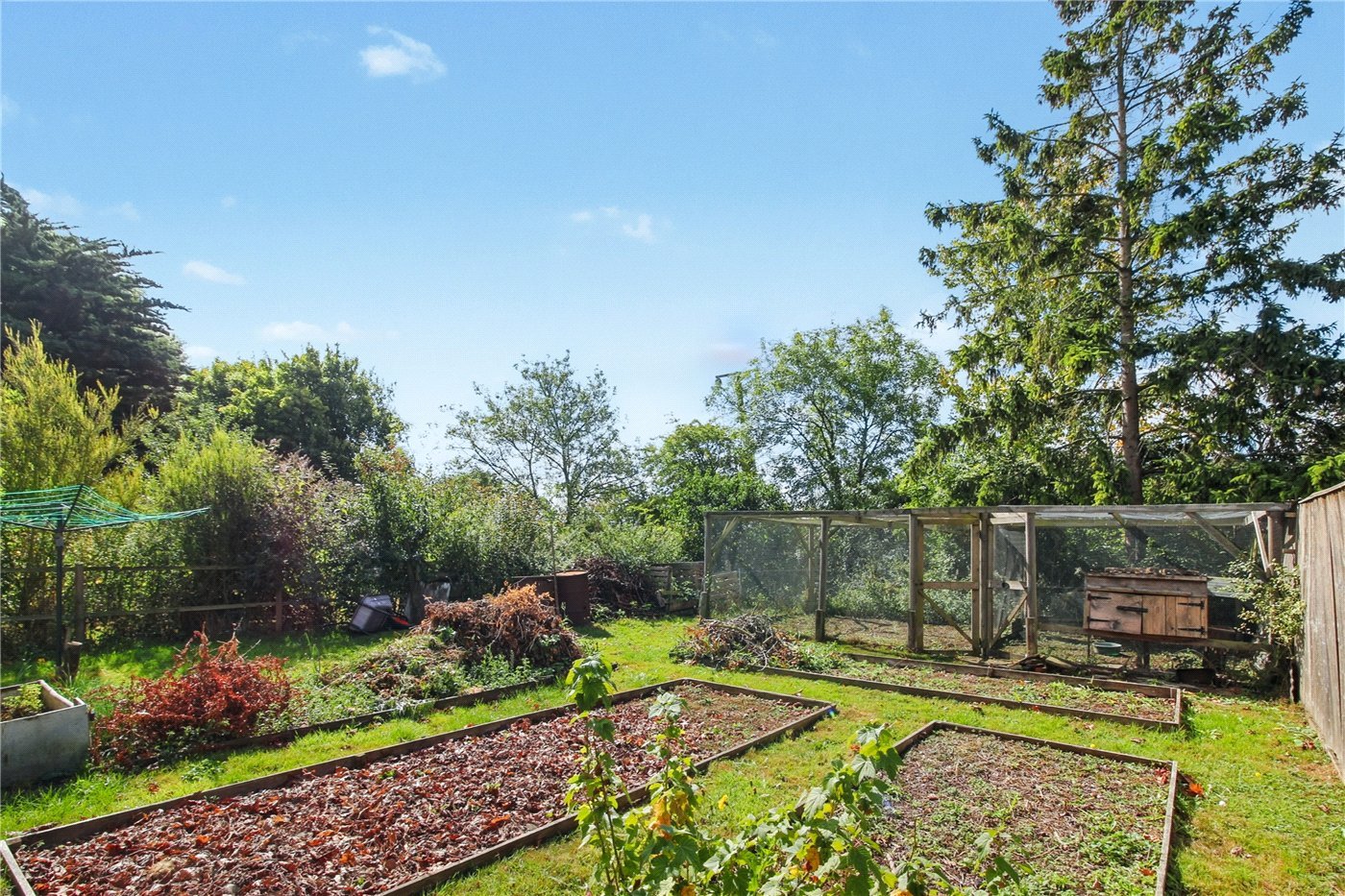 Veg Garden