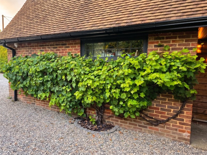 Fox Hill, Farley Hill, Reading, Berkshire, RG7