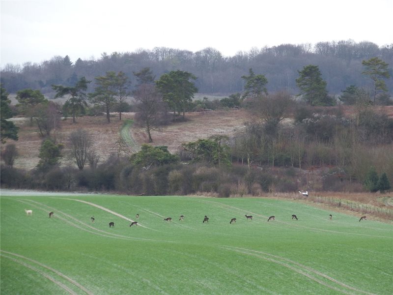 Mount Carmel Road, Palestine, Andover, Hampshire, SP11