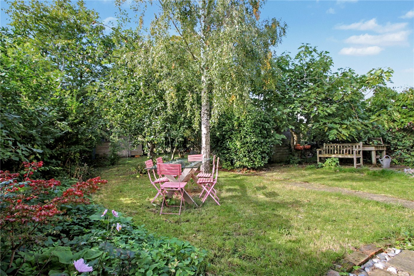 Garden