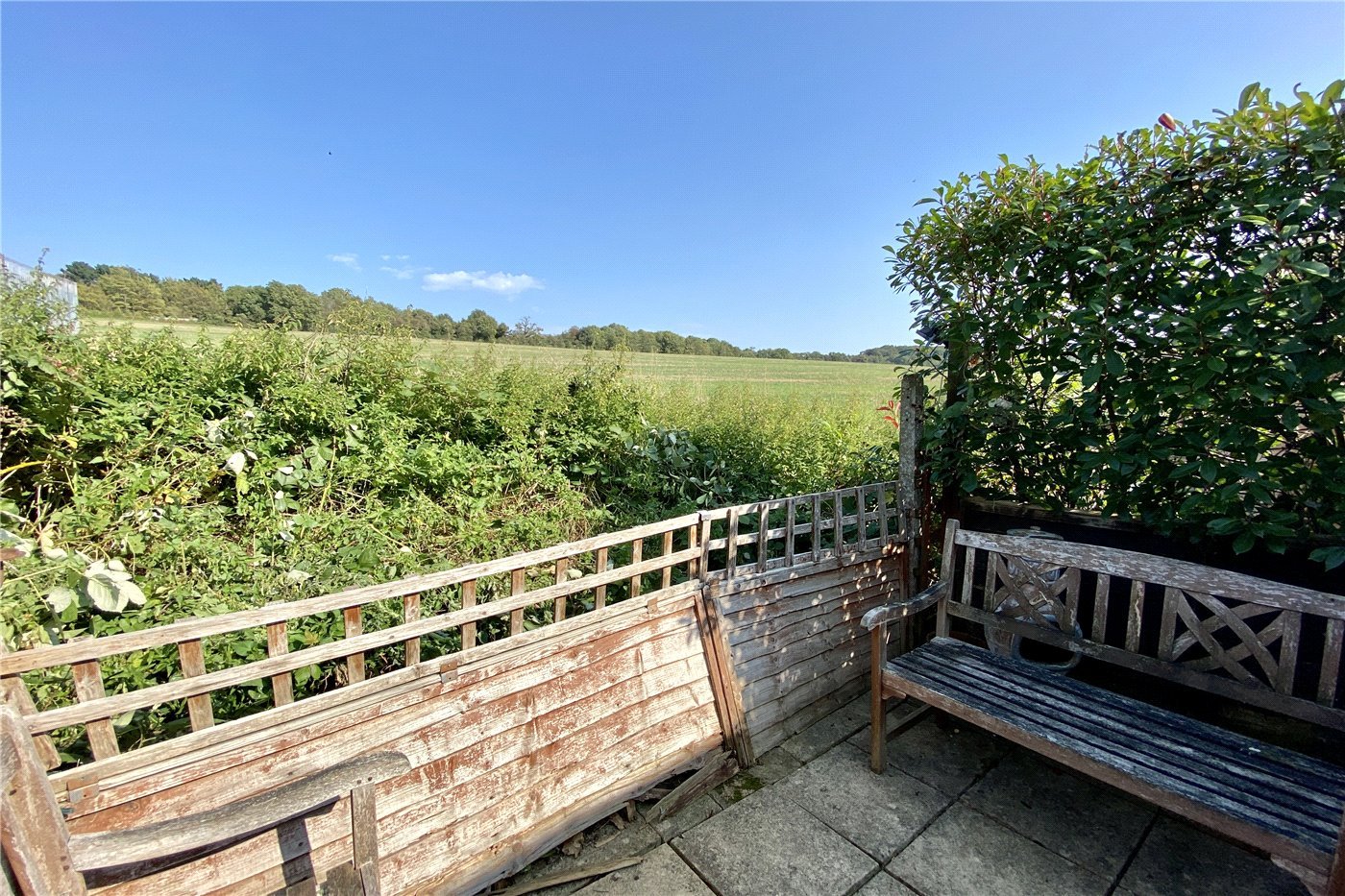View From Rear Patio