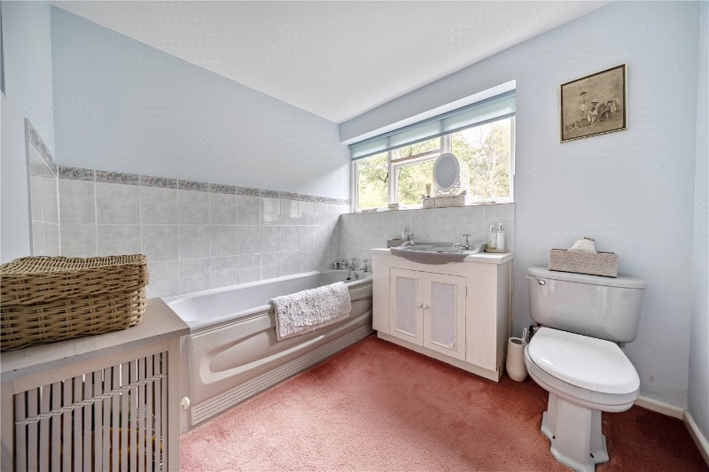 Crookham Common, Thatcham, Berkshire, RG19