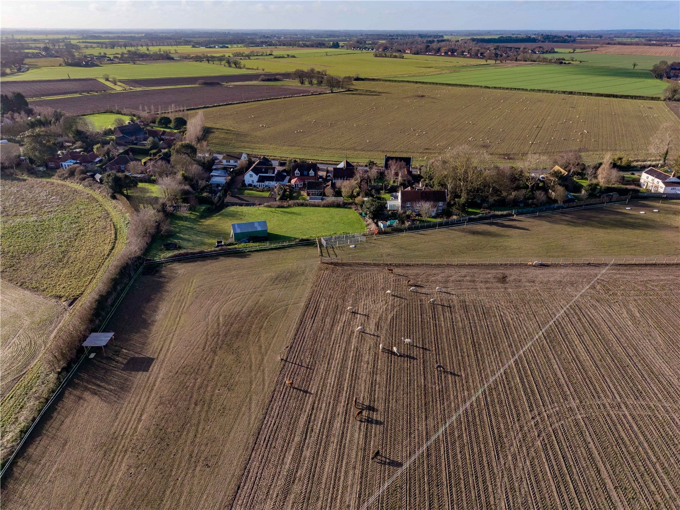 Aerial