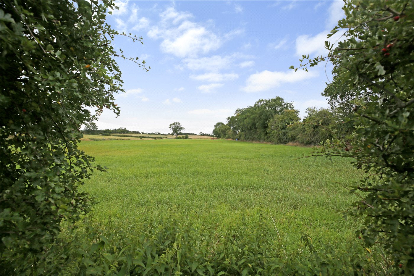 Garden Views