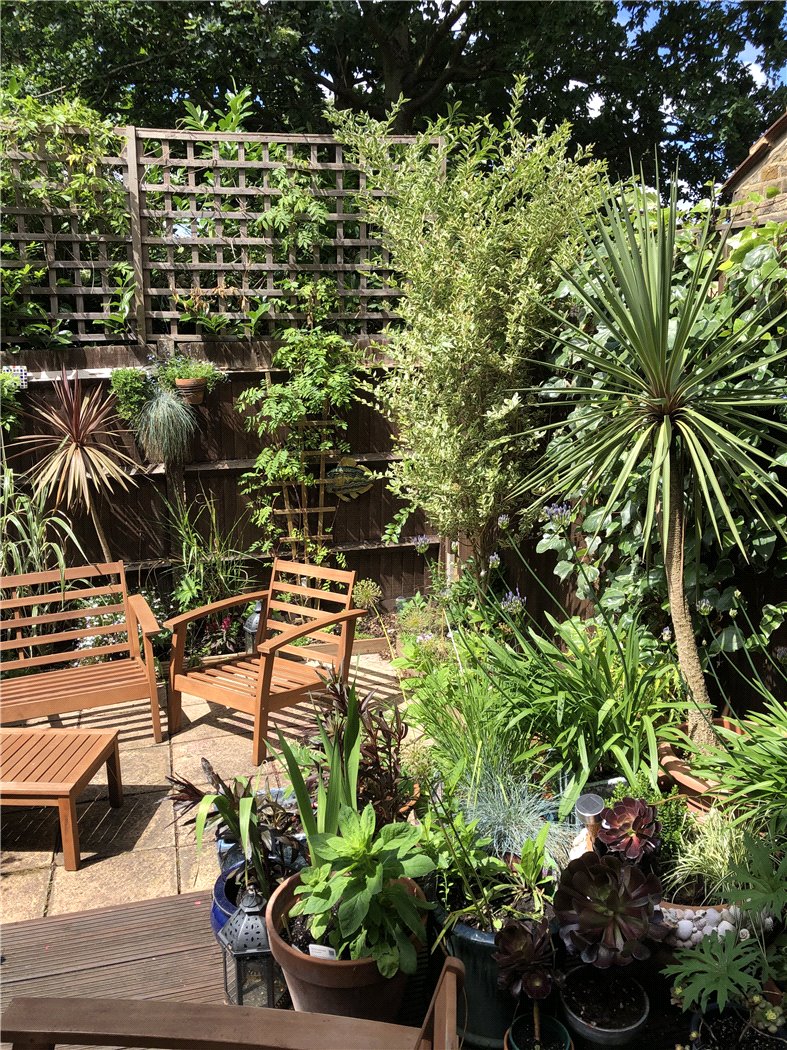 Garden Detail