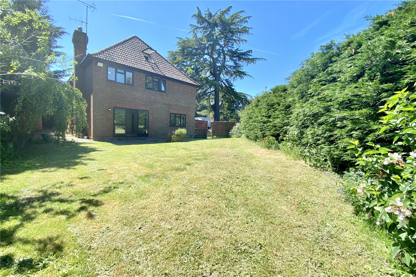 Rear Elevation