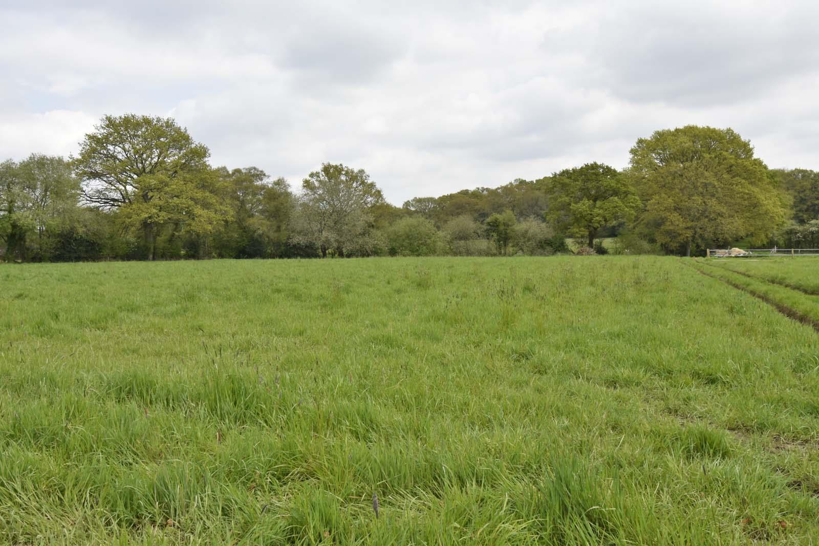 A VIEW 1 FROM DEVELO