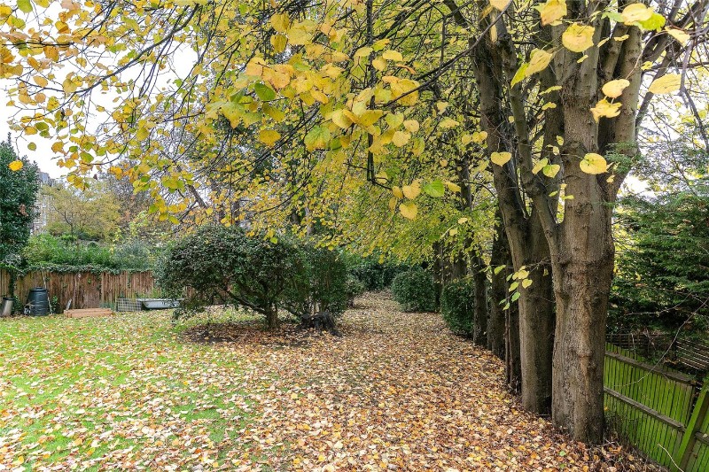 Farquhar Road, London, SE19