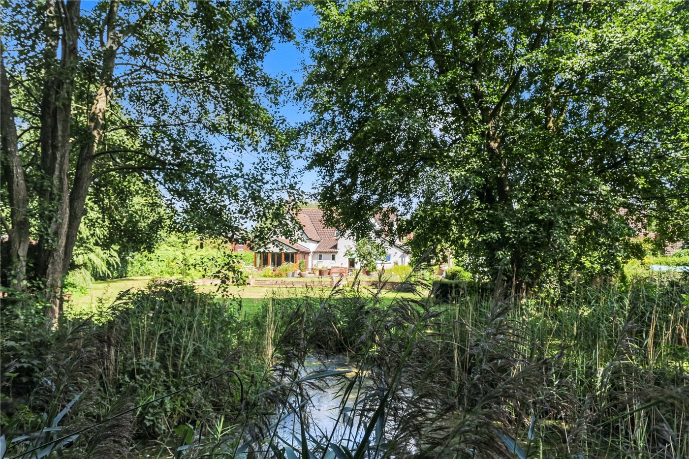 Pond