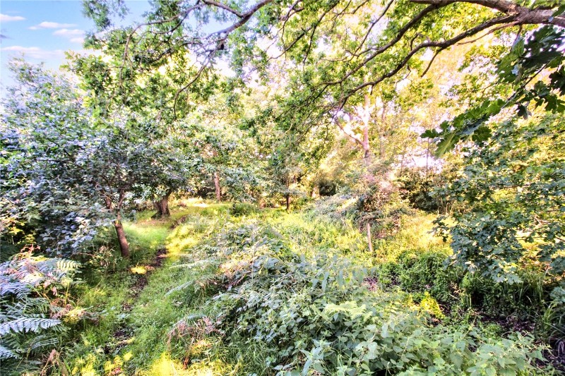 Blyford Lane, Wenhaston, Halesworth, Suffolk, IP19