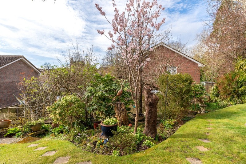 Pine Tree Close, Wimborne, Dorset, BH21