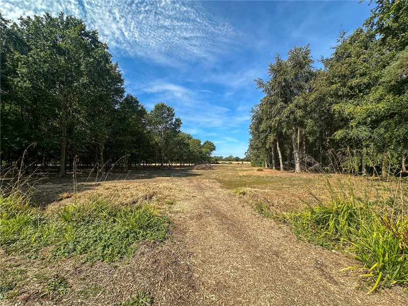 Slade Lane, Yelverton, Norwich, Norfolk, NR14