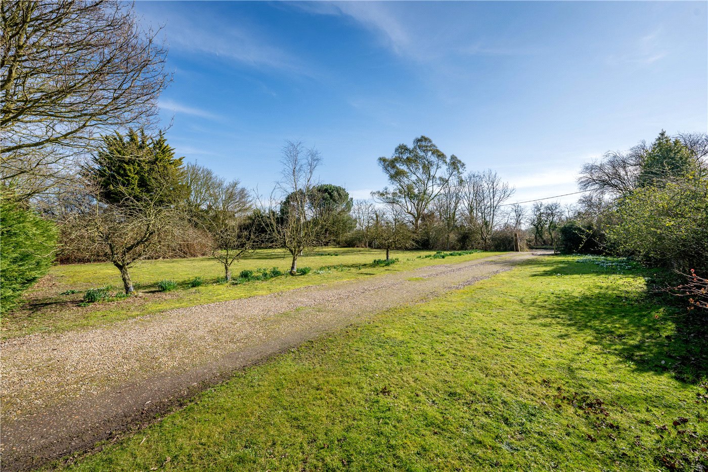 Driveway
