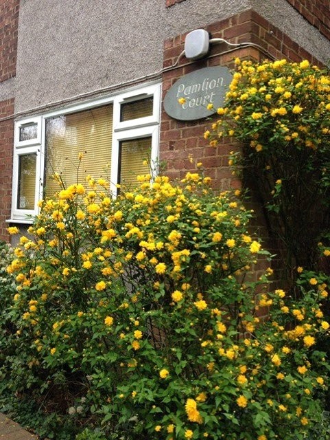 Crouch Hill, London, N4