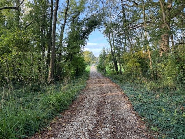 Michelmersh, Romsey, Hampshire, SO51