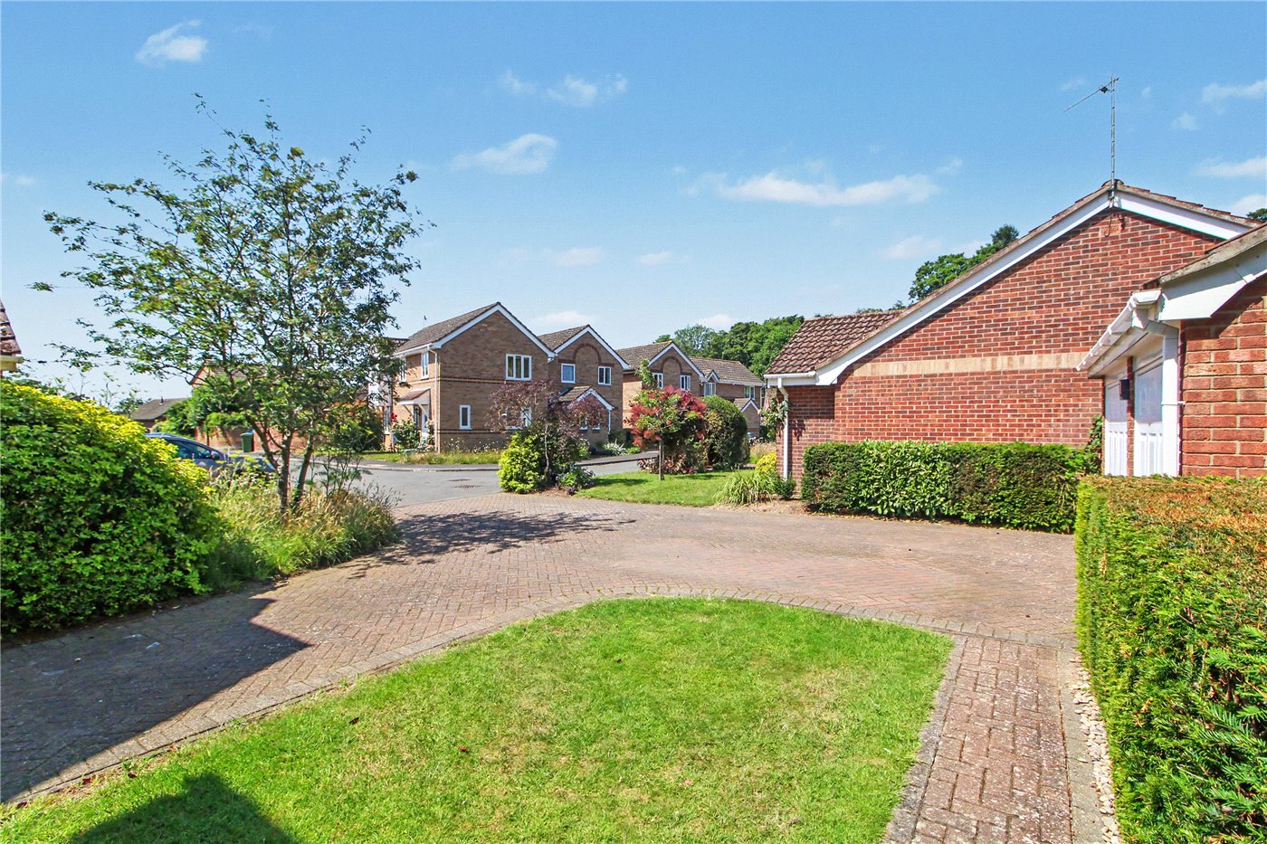 Driveway