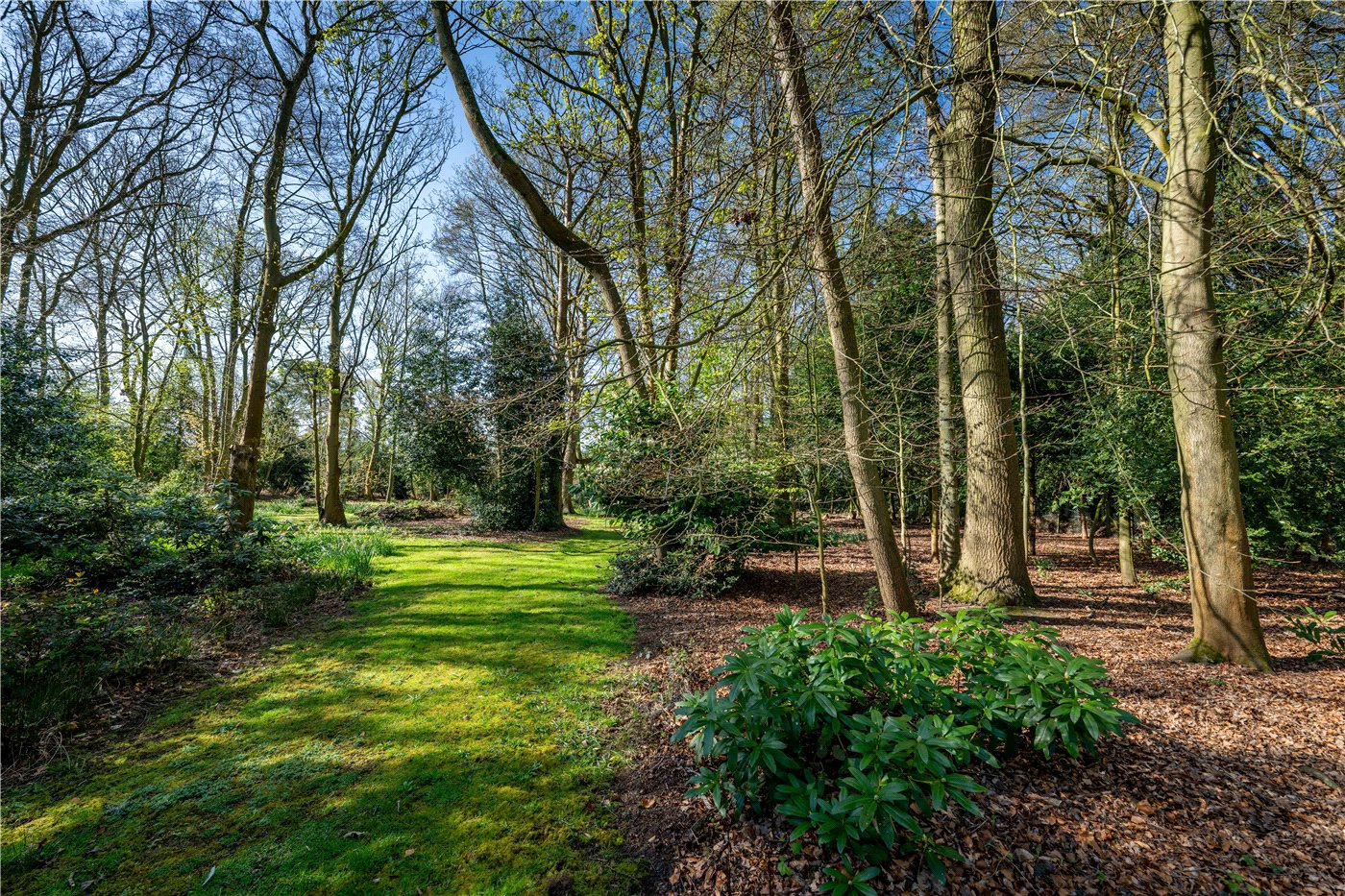Grounds