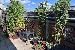 Desvignes Drive, Hither Green, London, SE13