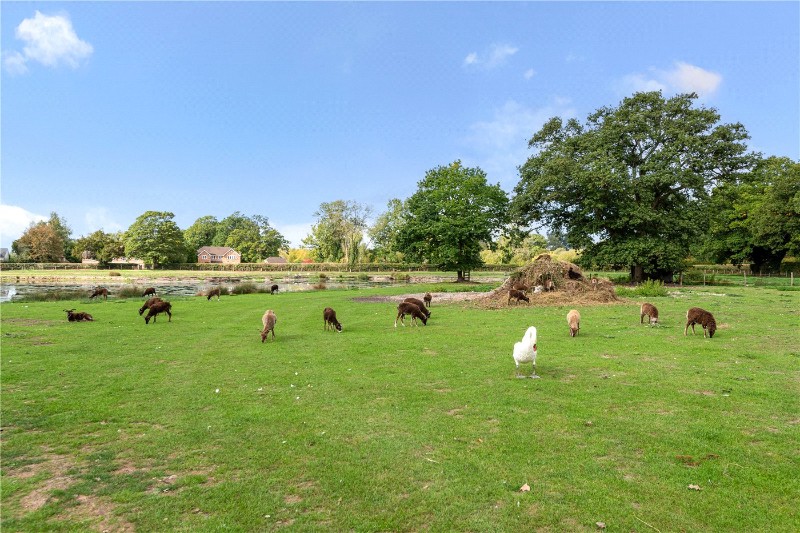 Mill Lane, Longparish, Andover, Hampshire, SP11