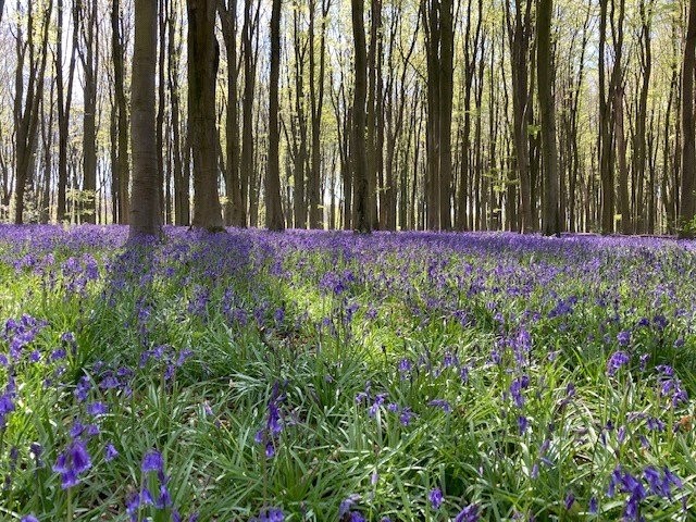 London Road, Micheldever, Winchester, Hampshire, SO21