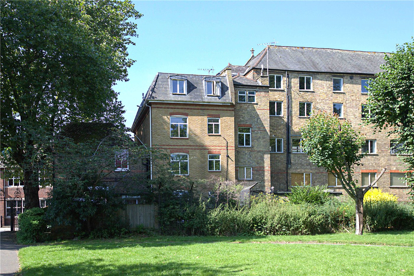 Rear View