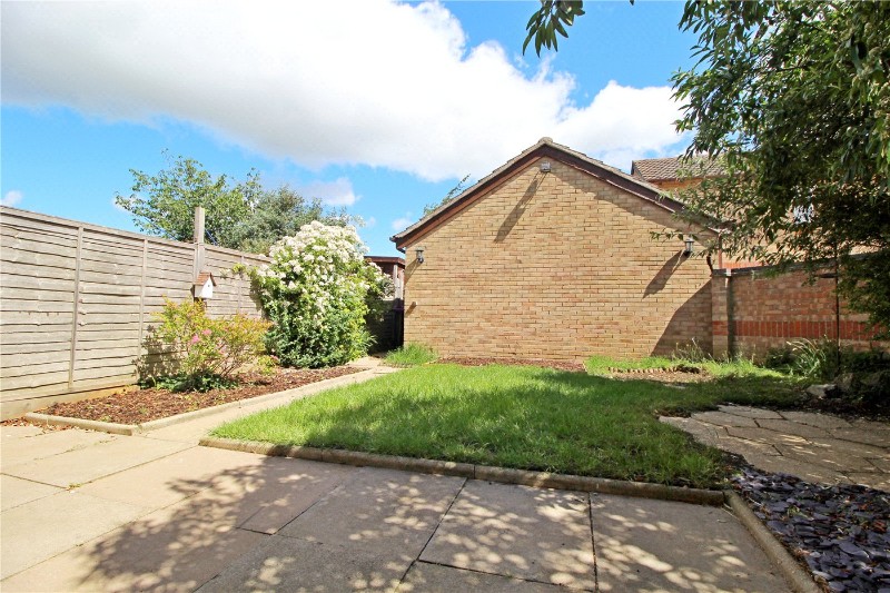 Foxgloves, Deeping St. James, Peterborough, Lincolnshire, PE6