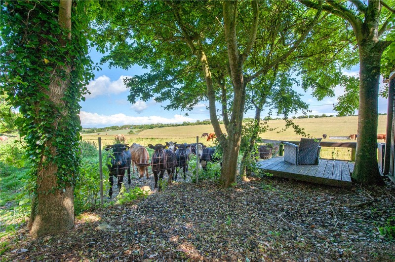 Dover Road, Westcliffe, Dover, Kent, CT15