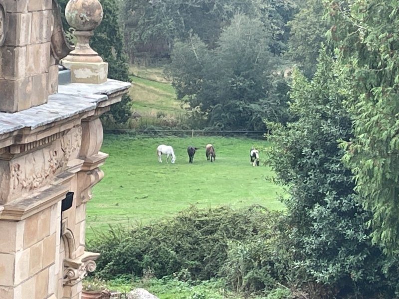 Woodlands Vale, Ryde, Isle Of Wight, PO33