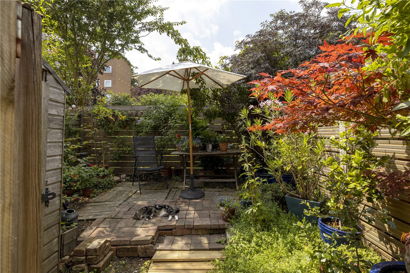 Garden