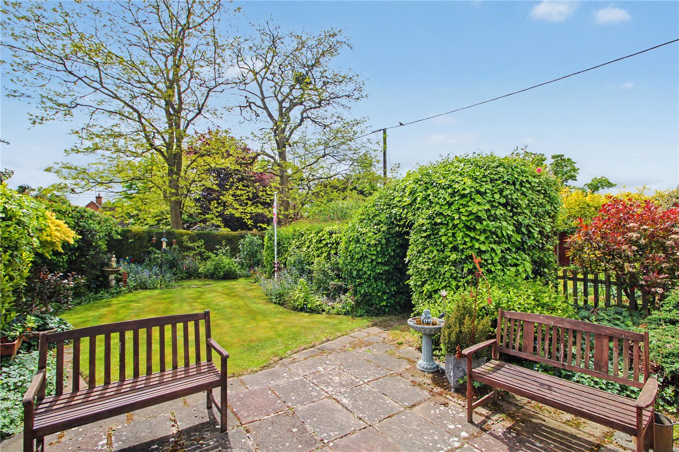Garden