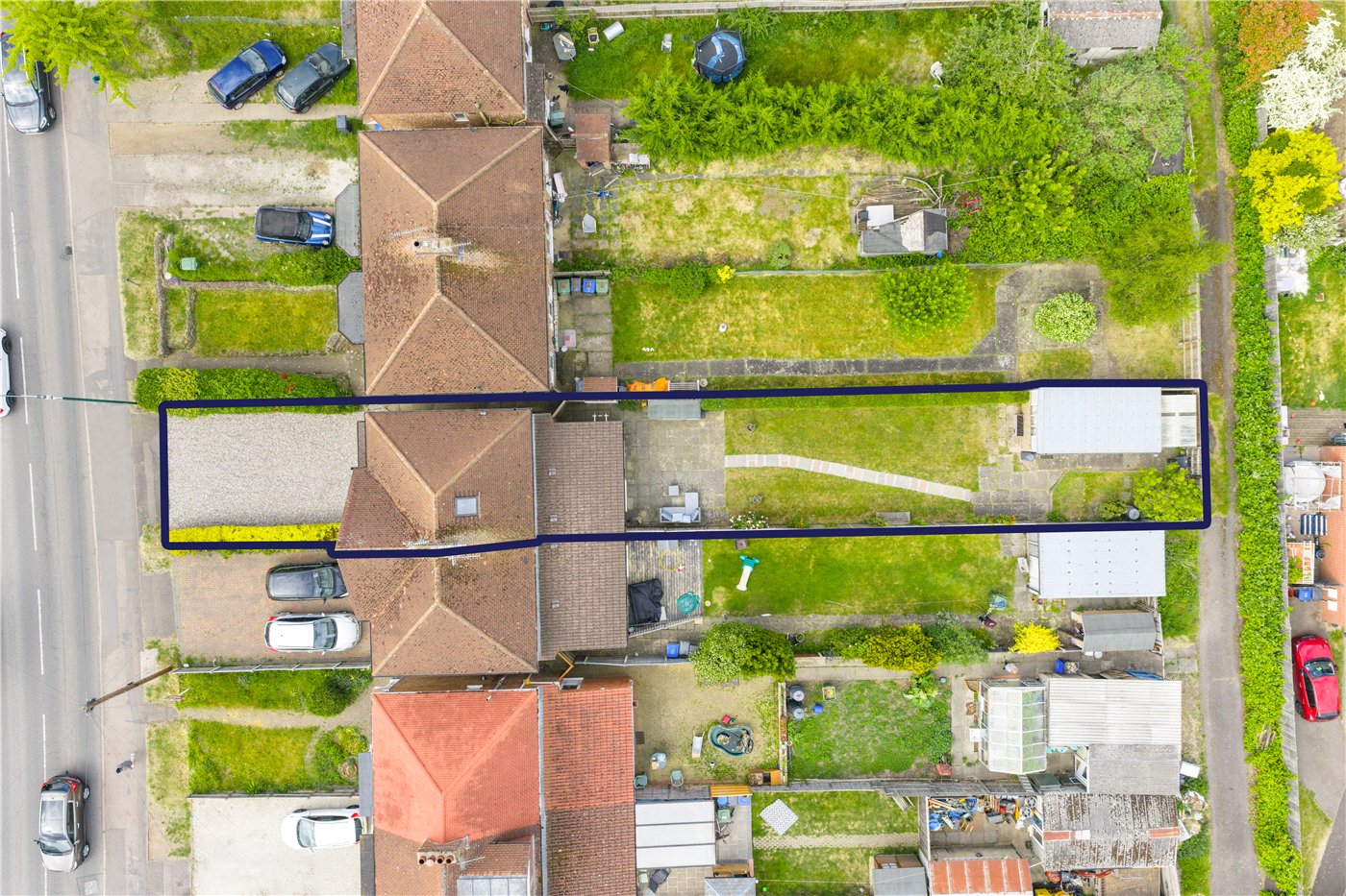 Birdseye