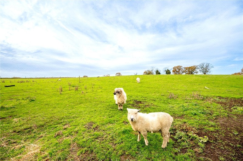 New Inn Hill, Rockland St. Mary, Norwich, NR14