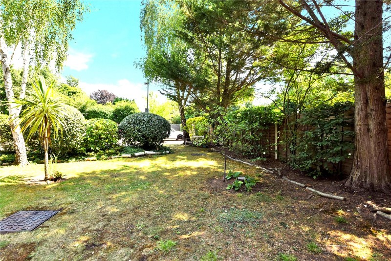 Albion Road, Sutton, SM2