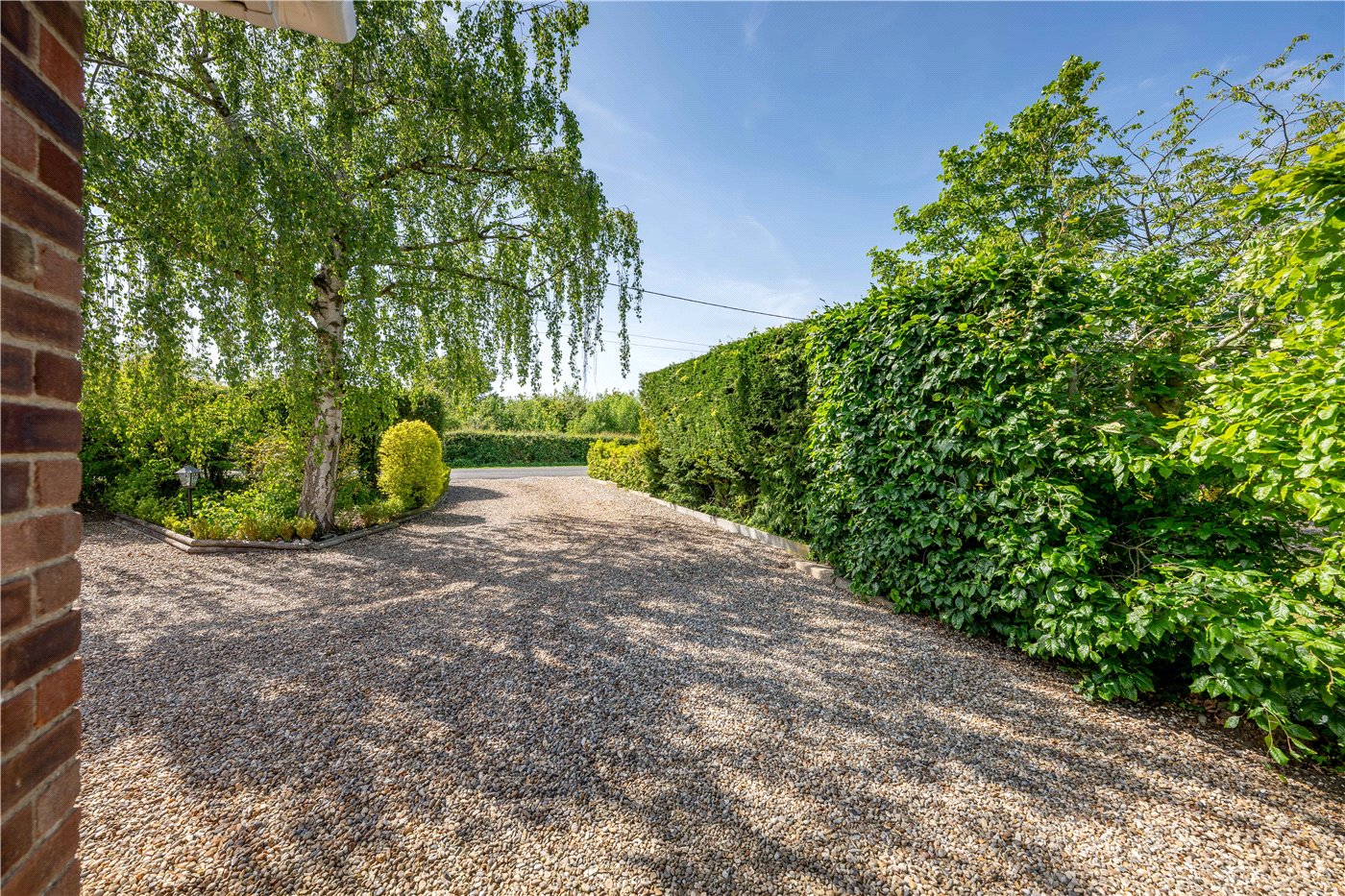 Driveway